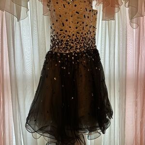 Elegant Black and Cream Dress